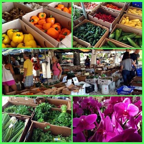 Coconut Grove Farmer's Market - Miami Florida Farmer's Market - HappyCow