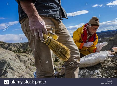 Paleontologists 的图像结果