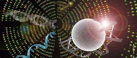 Image result for Biology Course Informatics