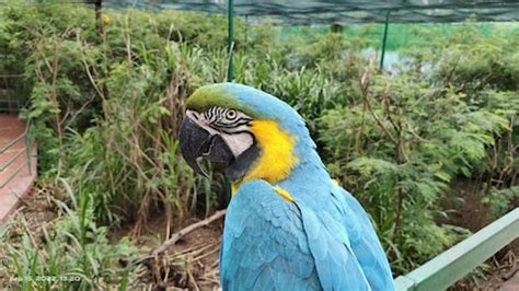 Indore - Tourist Places & Top Things to Do in 2026