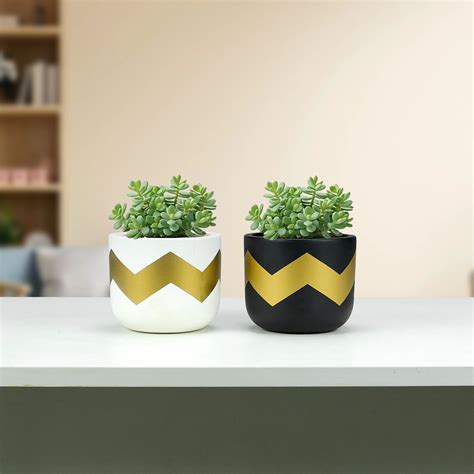 Terracotta Wonders - (Set of 2)