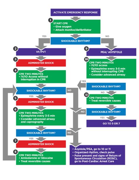 Image result for Pediatric Pals Algorithm