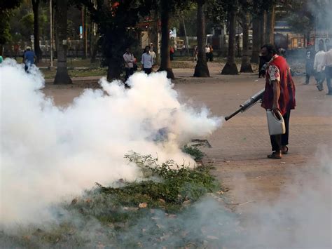 After The Outbreak Of Zika, Rajasthan Government On Toes To Get Rid Of ...