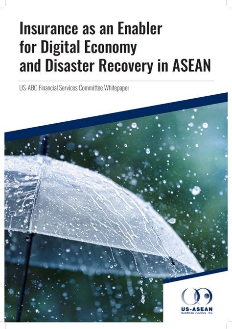 Insurance as an Enabler for Digital Economy and Disaster Recovery in ...