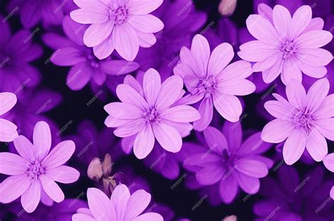 Premium Photo | Macro image of spring lilac violet flowers abstract ...