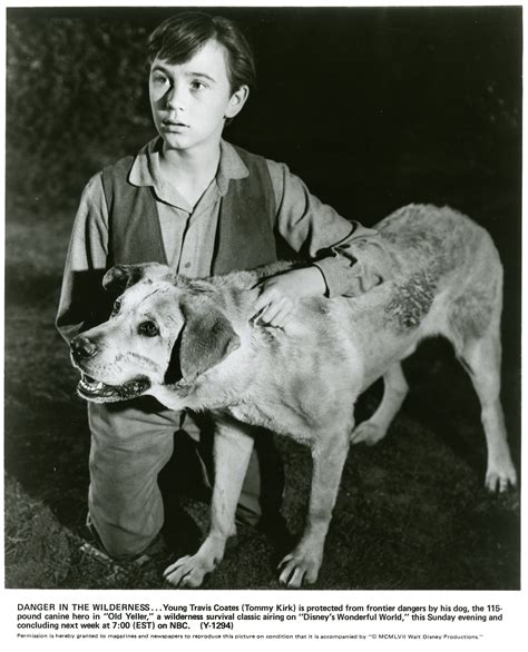 Old Yeller Timeline Old Yeller (film) Wikipedia
