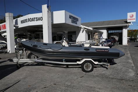 Image result for Terminator Inflatable