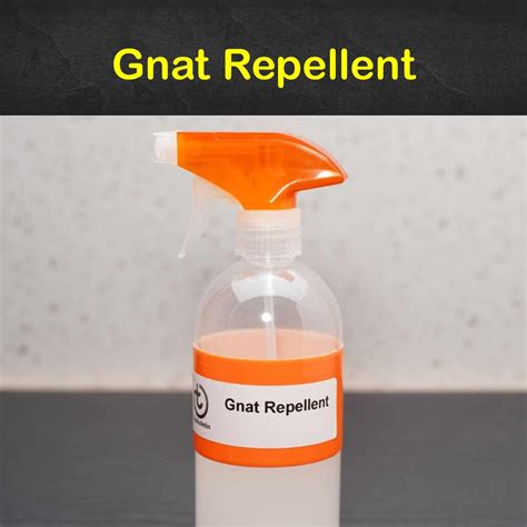 15 Simple Gnat Repellents that Really Work