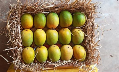 Ratnasagar Mangoes