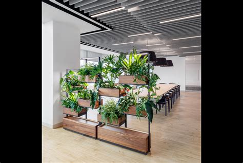 Office Plants 10 Low Maintenance Office Plants Ideas