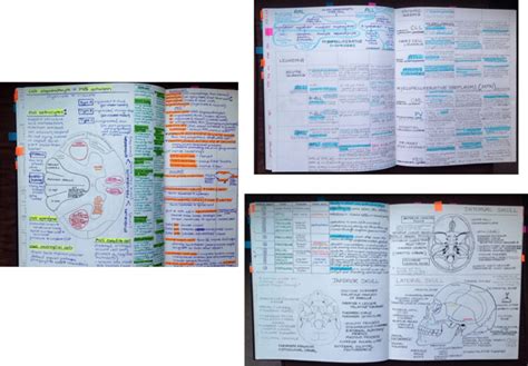 Image result for Examples of Student Notes