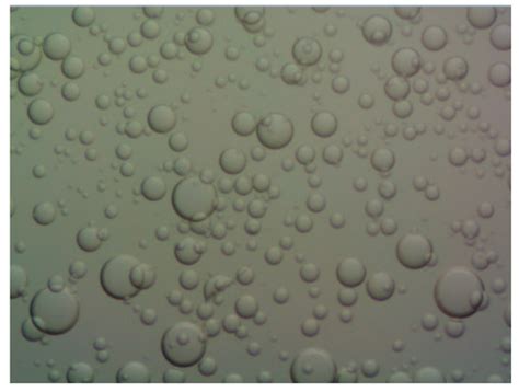 Experimental Study on the Effect of Different Parameters on Rotor Blade ...