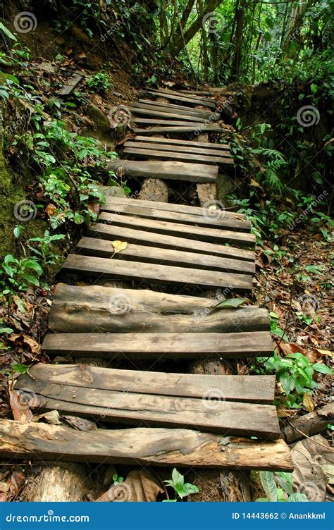 Nature Trail 的图像结果