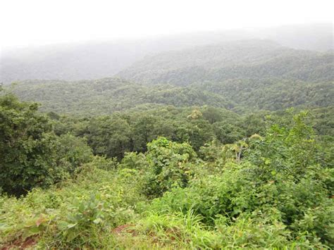 Dandeli Wildlife Sanctuary - JungleKey.in Wiki