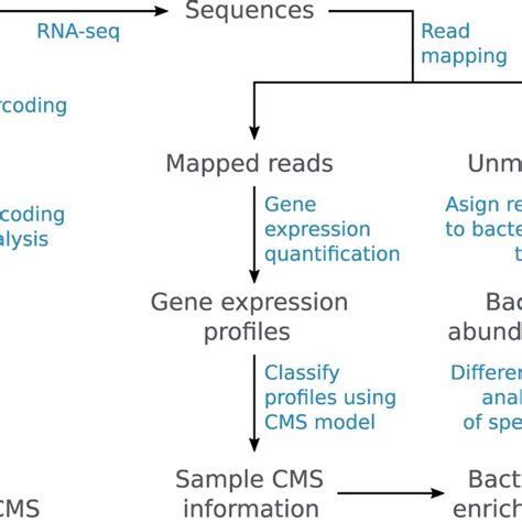 Image result for Sample Data Processing