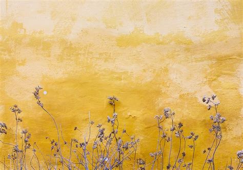 Texture Photographers Low Resolution 的图像结果