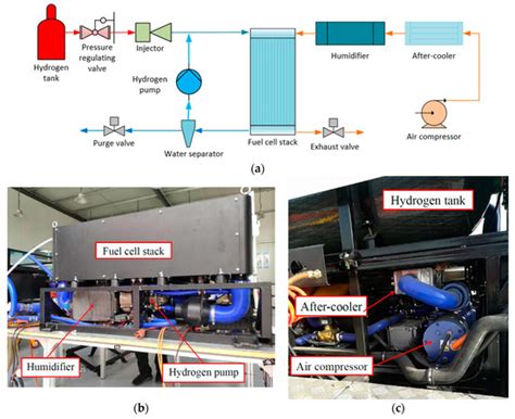 Development and Testing of a Roots Pump for Hydrogen Recirculation in ...