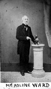 Searching Picture Sheffield