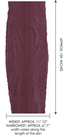 Image result for Men Python Products