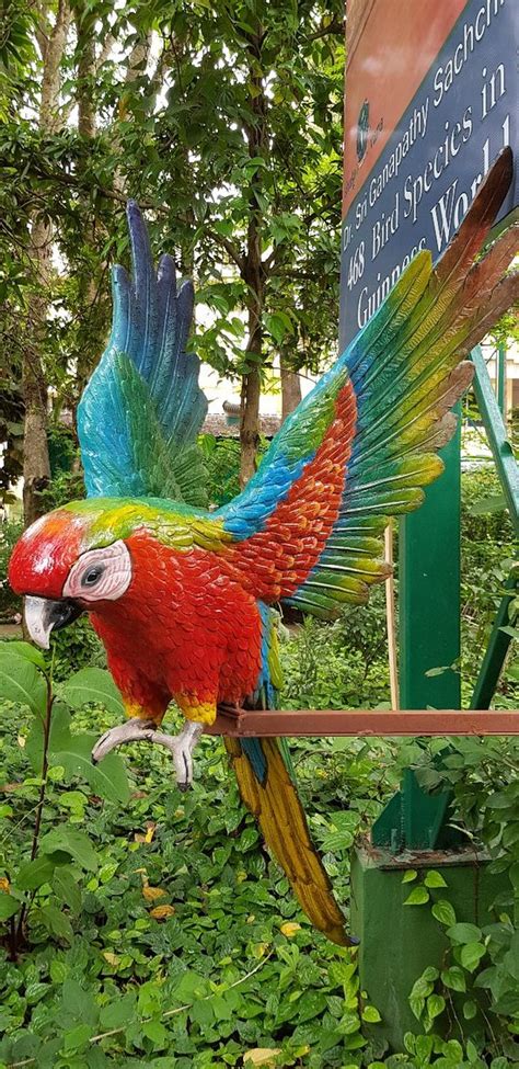 Shuka Vana (Mysuru (Mysore)) - 2019 What to Know Before You Go (with ...