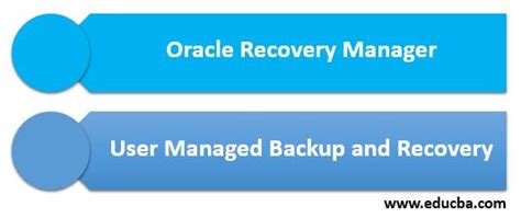 Types of Backup in Oracle Database 的图像结果
