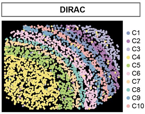 Image result for Dirac Tutorial