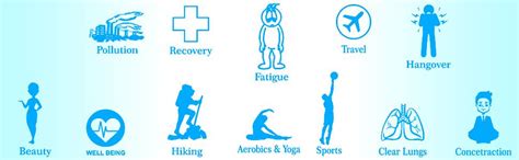 Buy Air6 Natural Oxygen Cylinder - 10L (Pack Of 4) | 150+ Sprays ...