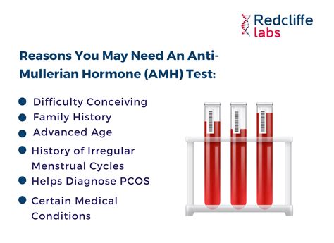 Test Anti Mullerian Hormone