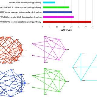 P-Value in Bioinformatics 的图像结果
