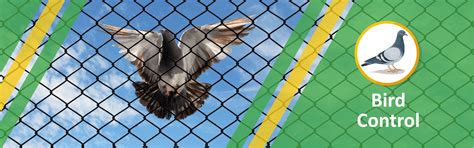 Bird Netting in Jaipur, Ajmer, Udaipur, Jodhpur and Surat