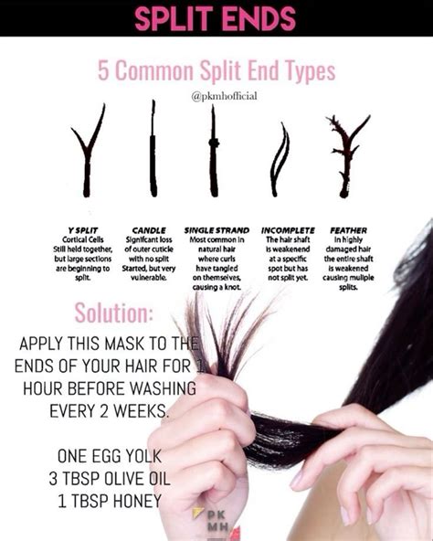 5 Most Common Split End Types!! ️🎀 | Hair care, Hair maintenance, Long ...