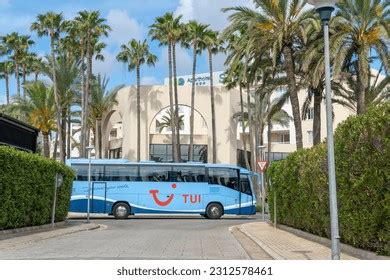 Image result for Tui Local Bus