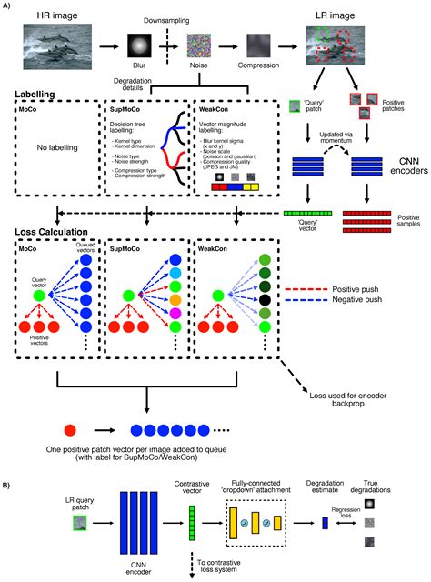 The Best of Both Worlds: A Framework for Combining Degradation ...