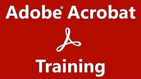 Adobe Acrobat Pro Tutorial Beginner 的图像结果