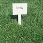 Image result for Fescue Grass Seed Mix