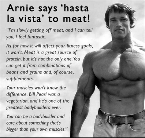 10 Ways a Plant-Based Diet Benefits In Your Athletic Performance ...