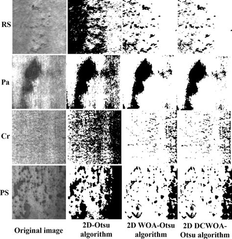 Image Segmentation 的图像结果