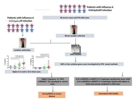 TNFA and IL10 Polymorphisms and IL-6 and IL-10 Levels Influence Disease ...