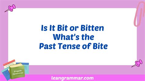 Bite, Bit, Bitten: Mastering the Past Tense of Bite