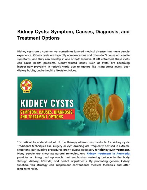 PPT - Kidney Cysts _ Symptom, Causes, Diagnosis and Treatment Options PowerPoint Presentation ...