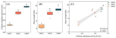 Characteristics of Carbonatogenic Bacteria and Their Role in Enhancing ...