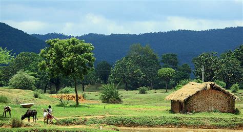 5 People-Powered Wins in India’s Environmental History - Greenpeace India