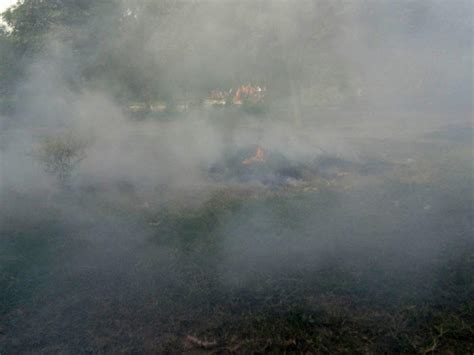 Delhi's air quality remains 'poor' for 4th consecutive day even as wind ...