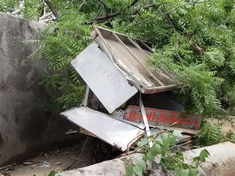 Increase in tree fall incidents as monsoon begins | ચોમાસું શરૂ થતાં ...