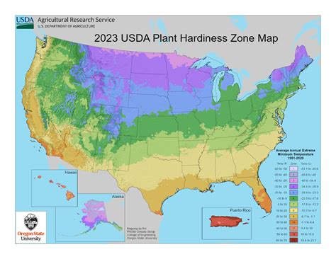 Vegetable Planting Calendars: An Easy Zone and State Garden Guide