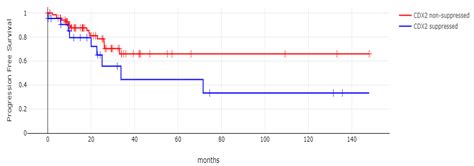 CDX2-Suppressed Colorectal Cancers Possess Potentially Targetable ...