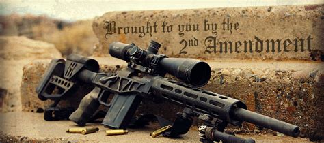 Image result for 2nd Amendment Profile Pic