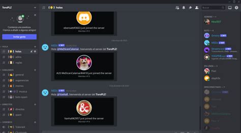 Image result for Discord Remix