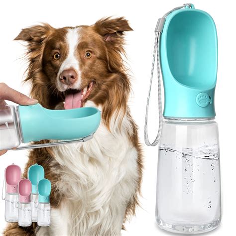 How To Train A Dog To Use A Water Bottle at Adelina Simmons blog