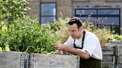 One of Copenhagen’s top chefs trails through forests of Andhra Pradesh ...